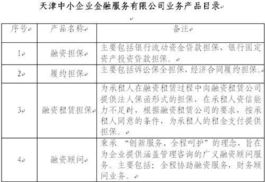 中國長城資產(chǎn)管理公司控股子公司 產(chǎn)品技術(shù)服務(wù)的戰(zhàn)略布局與市場競爭力